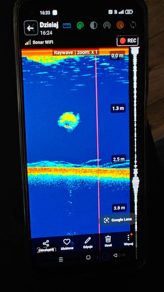 echosonda wąski stożek pęcherz pławny ryby