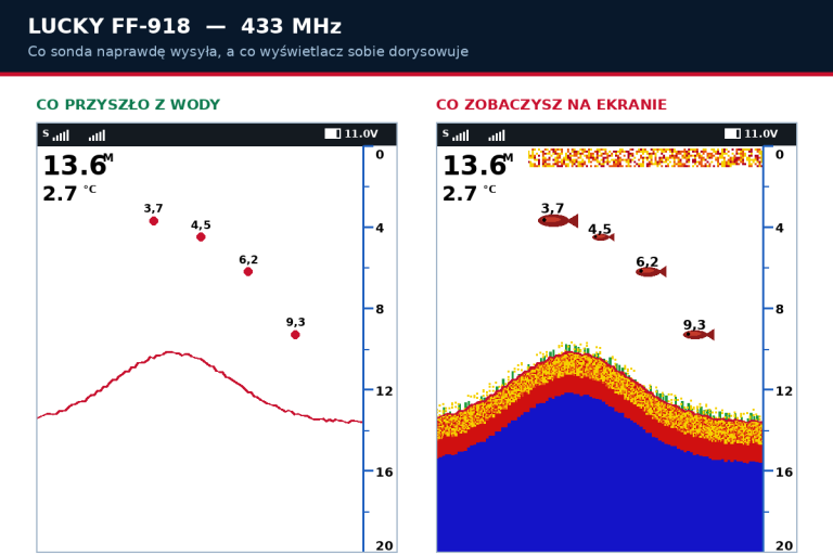 Lucky FF918: po lewej dane z sondy - linia dna i cztery punkty celow, po prawej kolorowy echogram wygenerowany przez wyswietlacz